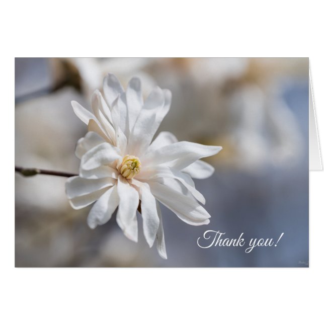 Stjärna Magnolia Bloom - tackkort OBS Kort (Framsidan Horizontal)