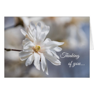 Stjärna Magnolia Bloom tänker på ditt kort