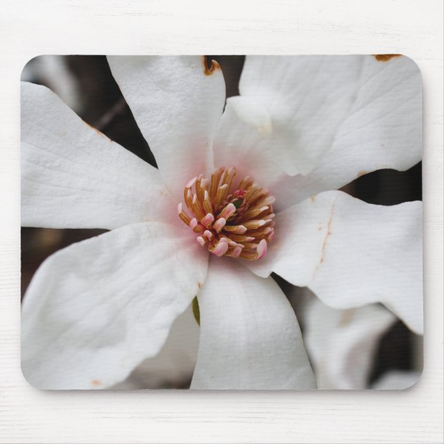 Stjärna Magnolia Mouse Pad Musmatta (Framsidan)