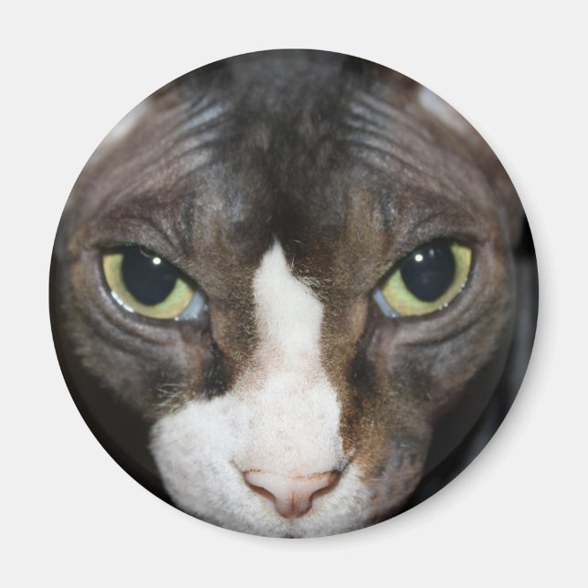 Stjärna mot dig magnet (Framsidan)