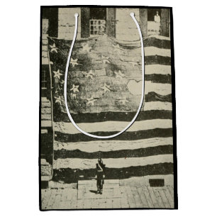 Stjärna-spridd banderoll: amerikansk Flagga på Vis