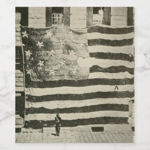 Stjärna-spridd banderoll: amerikansk Flagga på Vis Vinflaska Etikett