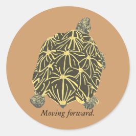 Stjärna Tortoise, målning på fästmärken Runt Klistermärke