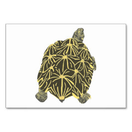 Stjärna Tortoise Turtle Reading Flashcards för vux Bordsnummer
