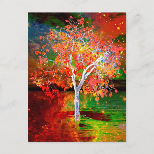 Stjärna Träd-vykort Vykort (Framsida)