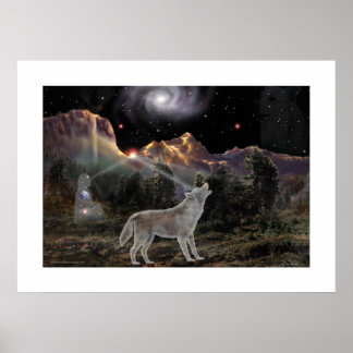 Stjärna Varg Poster