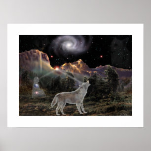 Stjärna Varg Poster