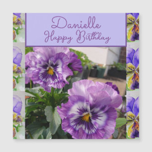 Stjärna Viola Blomma blommande Flicknamn Födelseda