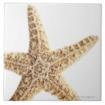 Stjärnafisk Kakelplatta<br><div class="desc">Tetra bilder för stjärnafisk | | AssetID: 114847708</div>