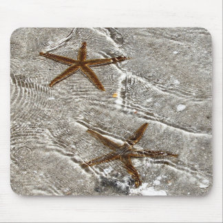 Stjärnafiskmusen vadderar musmatta