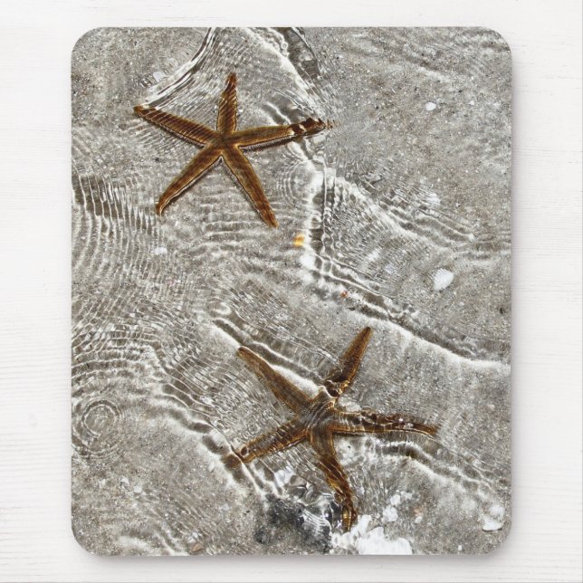 Stjärnafiskmusen vadderar musmatta (Framsidan)