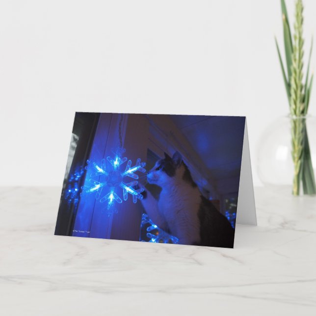  stjärnan helgkort (Framsida)