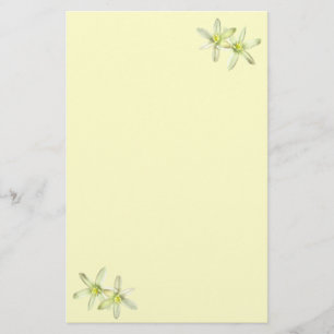 Stjärnan i Betlehem Stationery Brevpapper