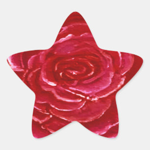 Stjärnan Ro Sticker Stjärnformat Klistermärke
