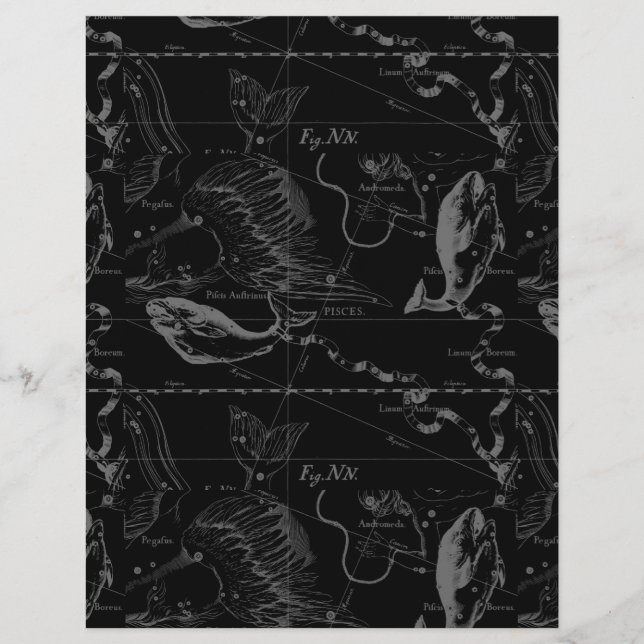 Stjärnbilden Fiskarna Hevelius 1690 på svart bakgr (Framsida)