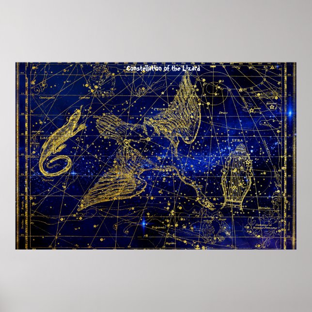 Stjärnbilden Ödlan Poster (Framsidan)