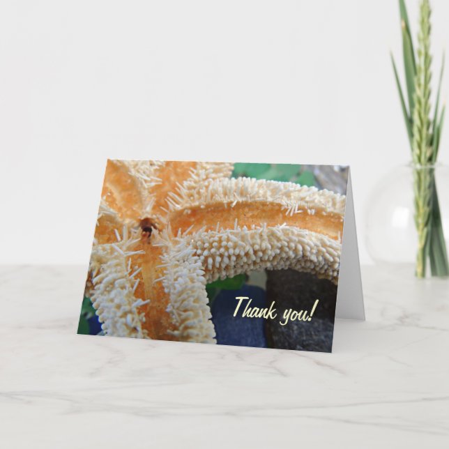 Stjärnfisk på Beach Glass Tack kort (Framsida)