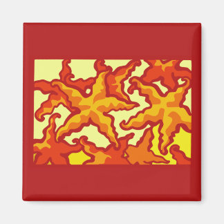 Stjärnfiskens sammansättning magnet