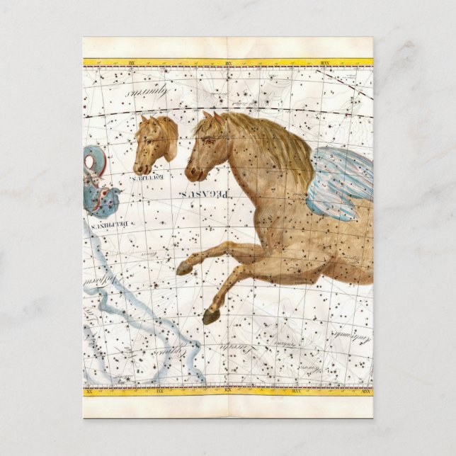 Stjärnkarta Pegasus Vykort (Framsida)