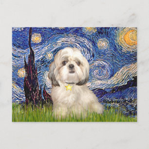 Stjärnklar natt - Shih Tzu (Y) Vykort