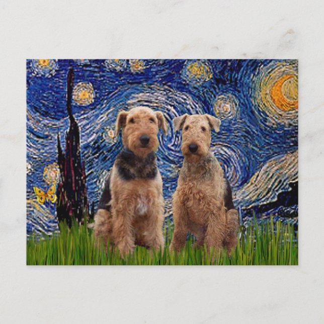 Stjärnkväll - Airedale Terriers (två) Vykort (Framsida)