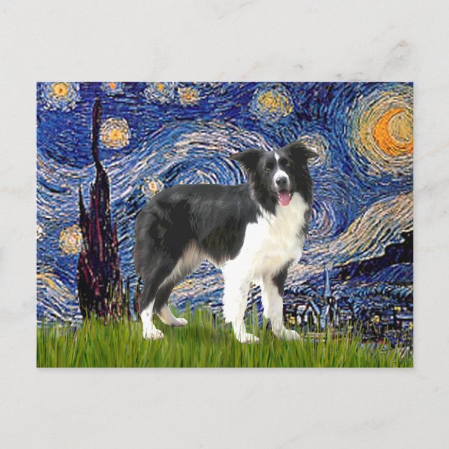 Stjärnkväll - Border Collie (Z) Vykort (Framsida)