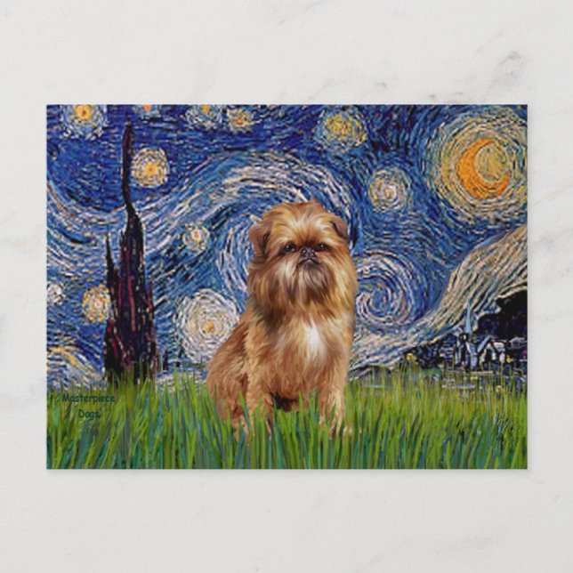 Stjärnkväll - Brun Brussels Griffon Vykort (Framsida)
