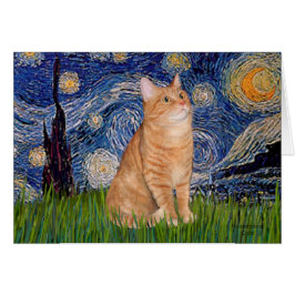 Stjärnkväll - Orange Tabby 46 Hälsningskort