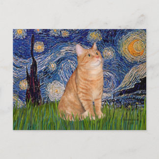 Stjärnkväll - Orange Tabby 46 Vykort
