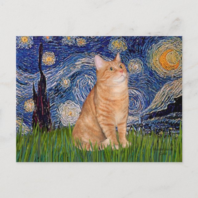 Stjärnkväll - Orange Tabby 46 Vykort (Framsida)