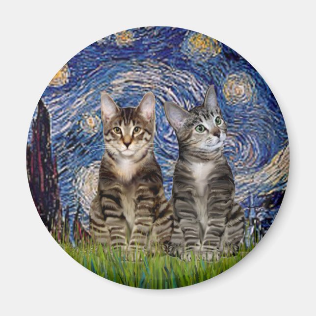 Stjärnkväll - Två randiga tigrerkatter Magnet (Framsidan)