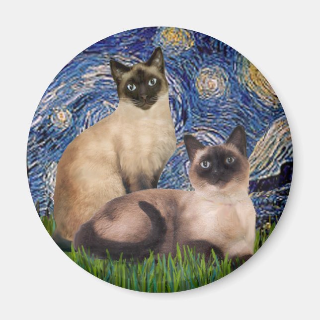 Stjärnkväll - Två siameser katter (Choklad Point) Magnet (Framsidan)