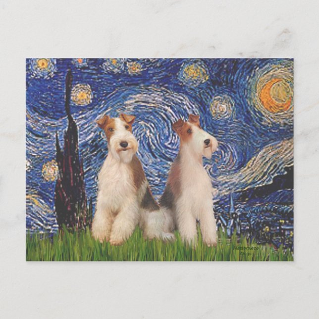 Stjärnkväll - Två Wire Fox Terriers Vykort (Framsida)