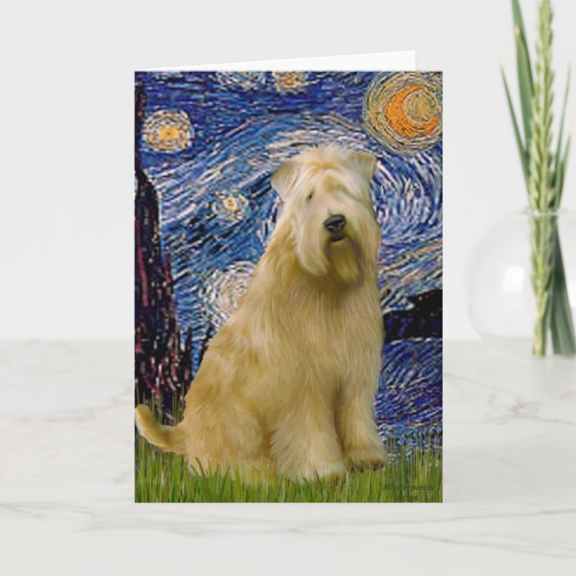 Stjärnkväll (V) - Wheaten Terrier Kort (Framsida)