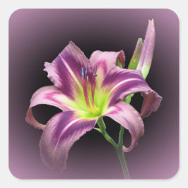 Stjärnmans kvart - Daylily Square Sticker Fyrkantigt Klistermärke