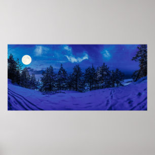 Stjärnnatten med fullt måne i skogen poster