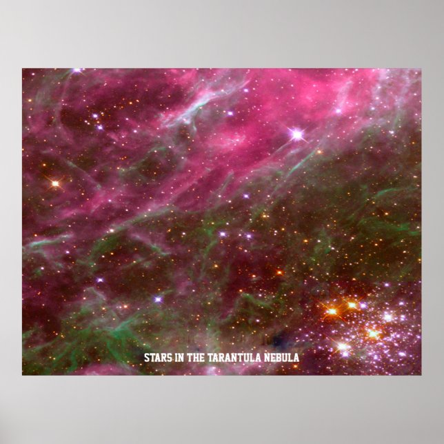 Stjärnor i Tarantula Nebula Rosa Hue Value Poster (Framsidan)