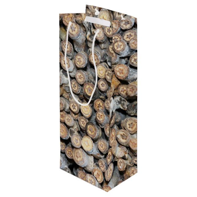 Stjärnor längs Rio Grande Cotton Wood Träd (Baksidan Vinklad)