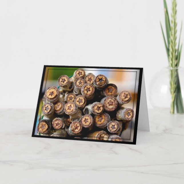 Stjärnor längs Rio Grande Cotton Wood Träd Kort (Framsida)