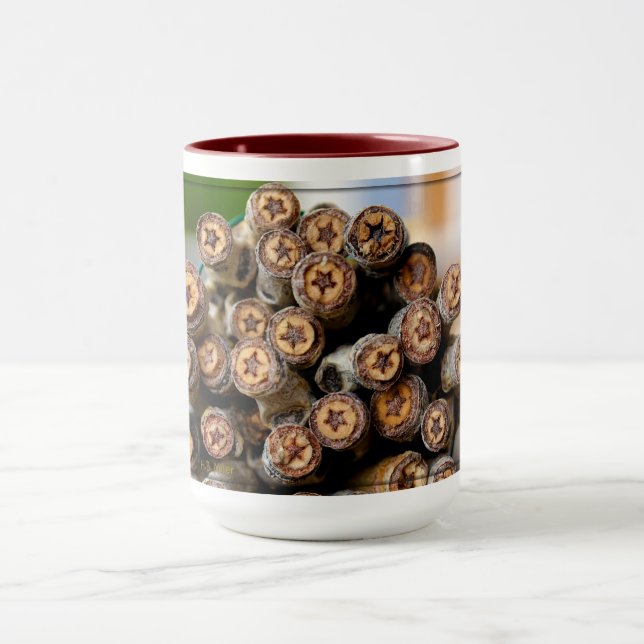 Stjärnor längs Rio Grande Cotton Wood Träd Mugg (Center)