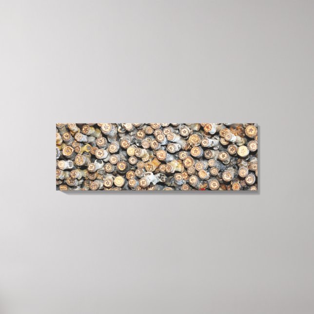 Stjärnor längs Rio Grande Cotton Wood Träd Talki Canvastryck (Framsida)