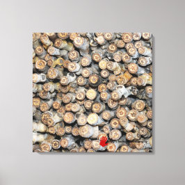 Stjärnor längs Rio Grande Cotton Wood Träd Talki Canvastryck