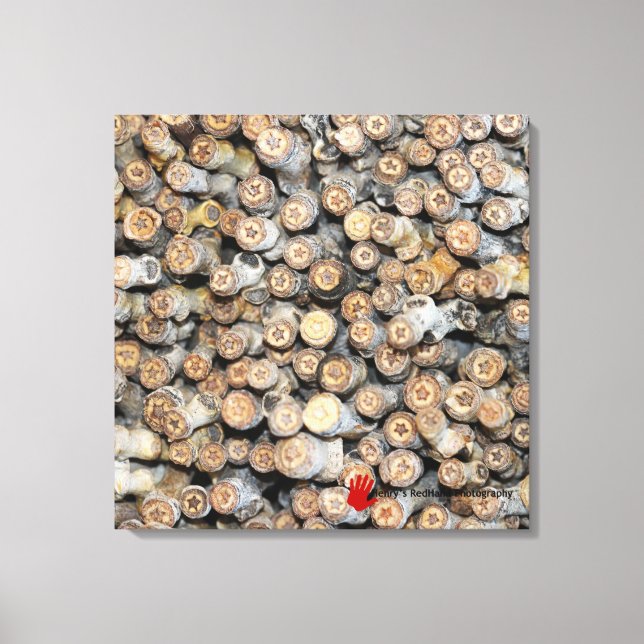 Stjärnor längs Rio Grande Cotton Wood Träd Talki Canvastryck (Framsida)