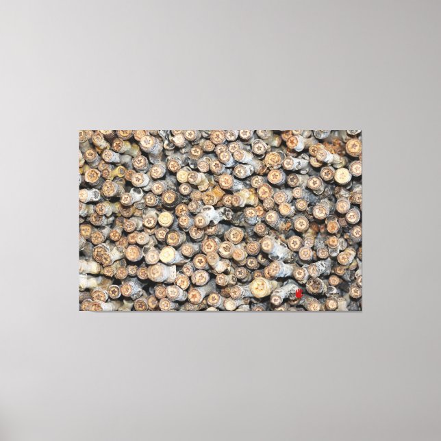 Stjärnor längs Rio Grande Cotton Wood Träd Talki Canvastryck (Framsida)