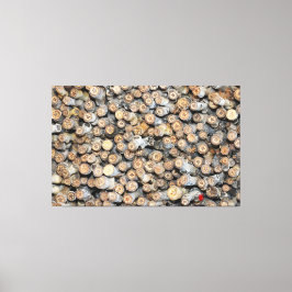 Stjärnor längs Rio Grande Cotton Wood Träd Talki Canvastryck