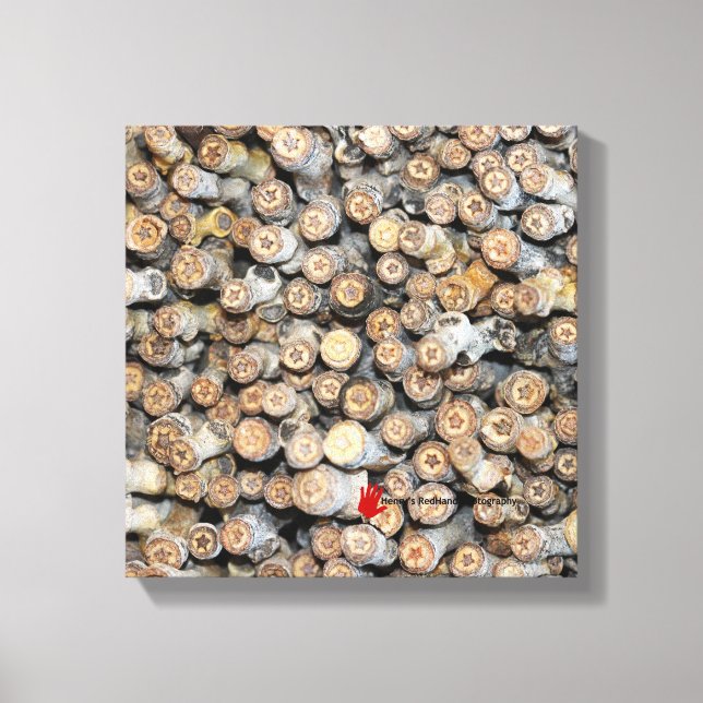 Stjärnor längs Rio Grande Cotton Wood Träd Talki Canvastryck (Framsida)