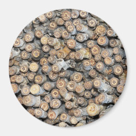 Stjärnor längs Rio Grande Cotton Wood Träd Talki Magnet