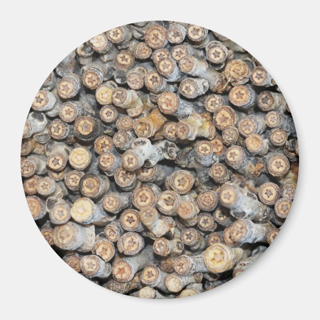 Stjärnor längs Rio Grande Cotton Wood Träd Talki Magnet (Framsidan)