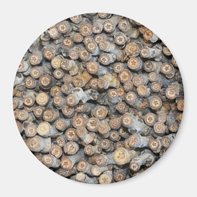 Stjärnor längs Rio Grande Cotton Wood Träd Talki Magnet (Framsidan)