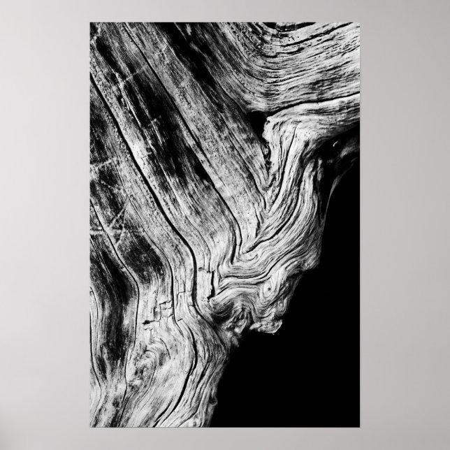 stjärnor säger det poster (Framsidan)